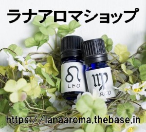 獅子乙女　修正e